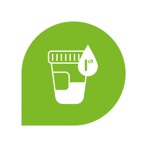 Bisphénol A dans l'urine
