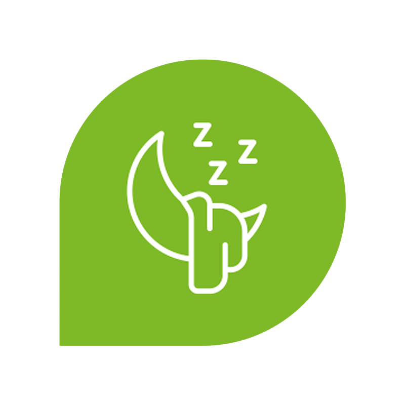 Icono test melatonina