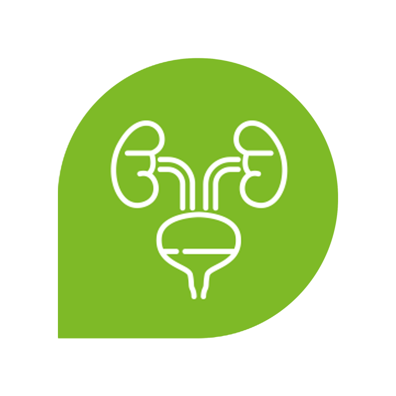 icono urobiomía