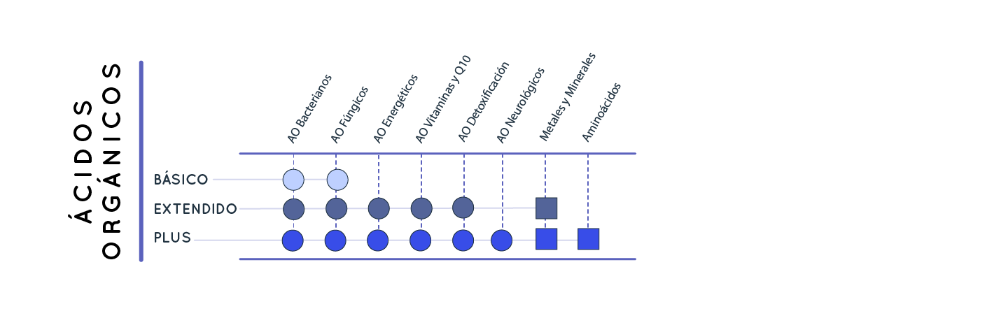 Acidos Laboratorio de Análisis en Barcelona, Madrid y Málaga - Análisis Clínicos | Ácidos Orgánicos