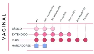 esquema_disbiosis_vaginal_2 (1) Laboratorio de Análisis en Barcelona, Madrid y Málaga - Análisis Clínicos | Disbiosis de la mujer