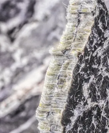 Laboratorio de Análisis en Barcelona, Madrid y Málaga - Análisis Clínicos|Inicio