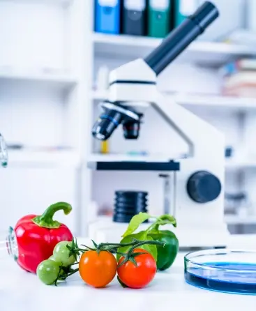 Laboratorio de Análisis en Barcelona, Madrid y Málaga - Análisis Clínicos|Inicio