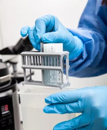 Laboratorio de Análisis en Barcelona, Madrid y Málaga - Análisis Clínicos|Inicio