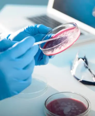 Laboratorio de Análisis en Barcelona, Madrid y Málaga - Análisis Clínicos|Inicio