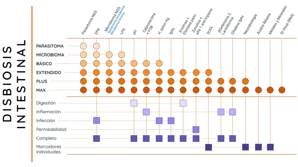 Laboratorio de Análisis en Barcelona, Madrid y Málaga - Análisis Clínicos | Dysbiose intestinale