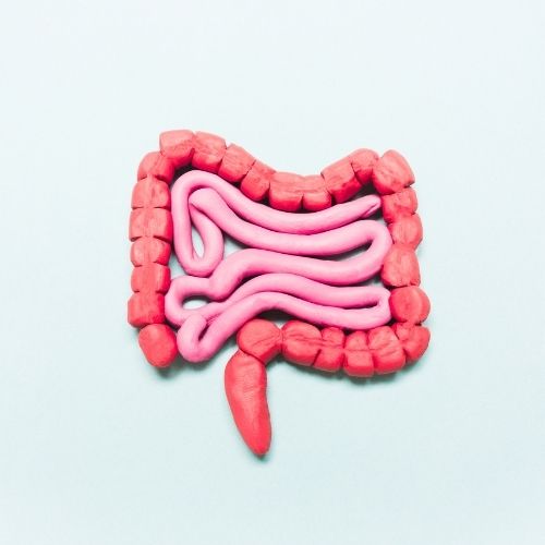 Tipos de SIBO: Hidrógeno, Metano y Sulfuro. Diferencias, síntomas y diagnóstico