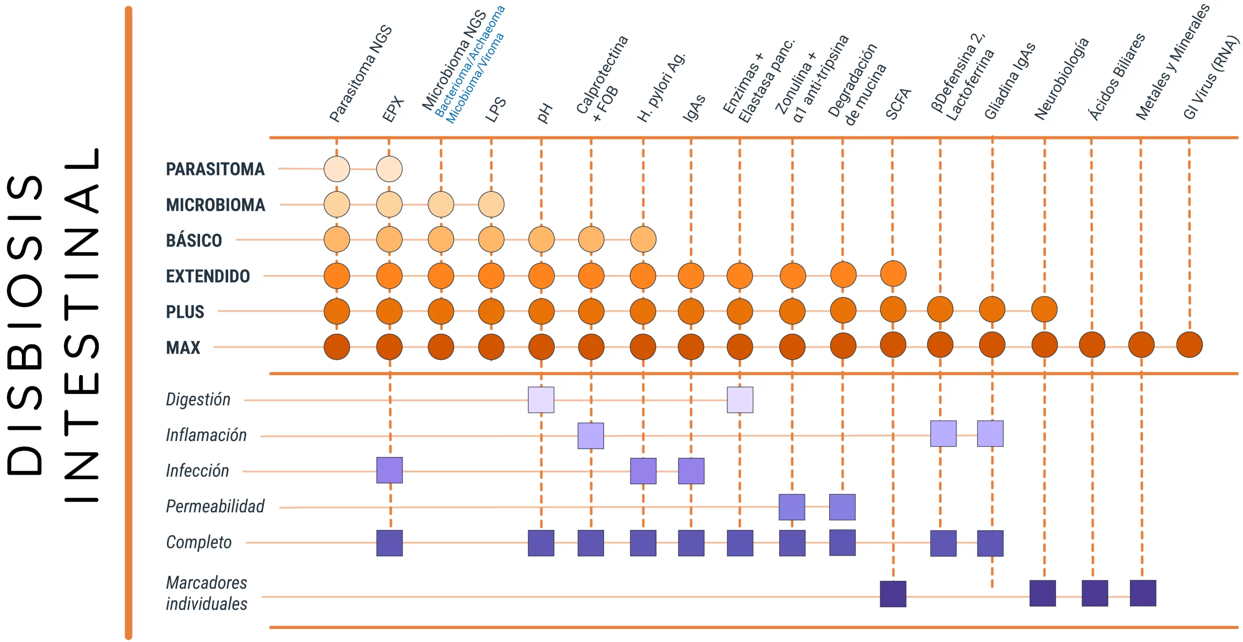 Disbiosis-1024×574 Laboratorio de Análisis en Barcelona, Madrid y Málaga - Análisis Clínicos | Intestinal Dysbiosis