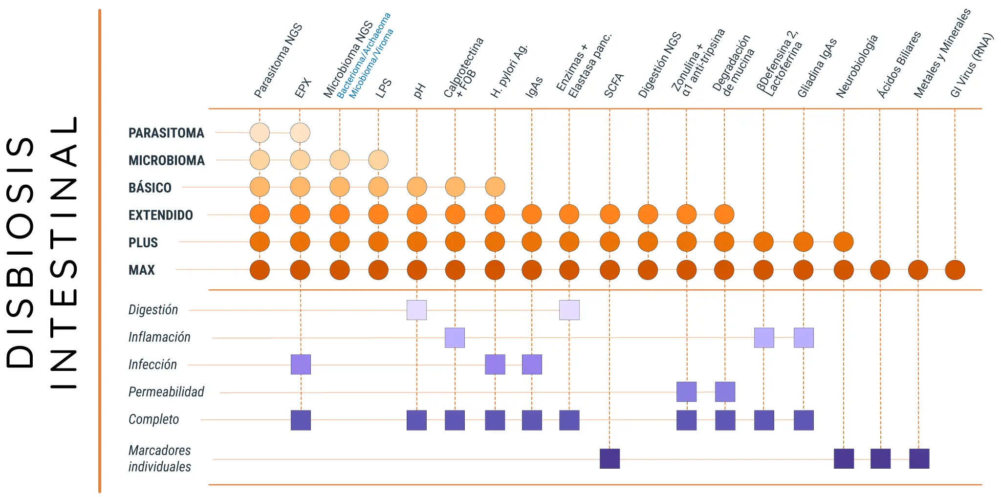 disbiosis-intestinal (1) Laboratorio de Análisis en Barcelona, Madrid y Málaga - Análisis Clínicos | Disbiosis Intestinal